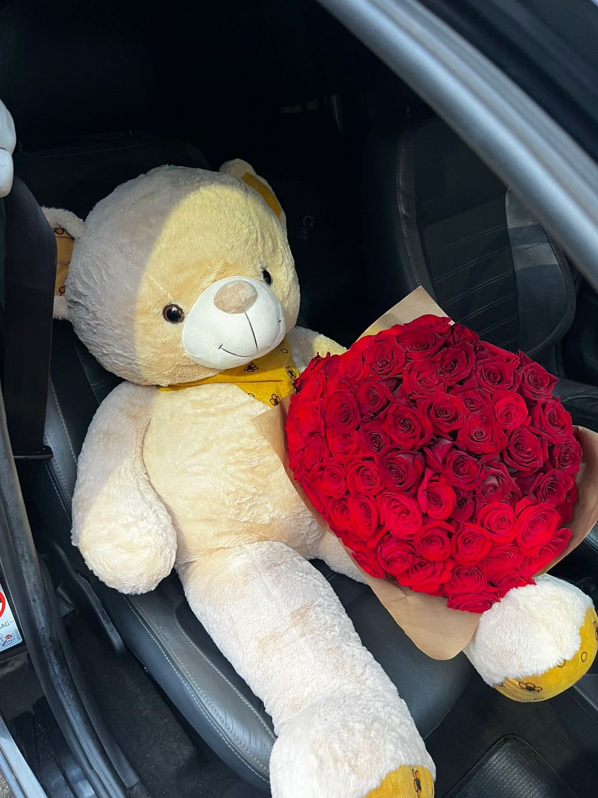 Urso Ted Gigante